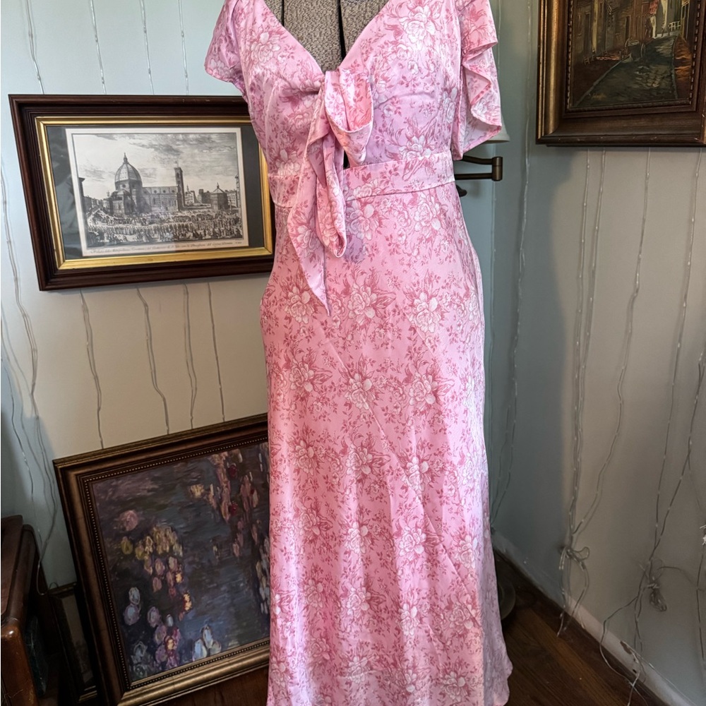 Audrey Parks Francesca’s Pink Floral Dress